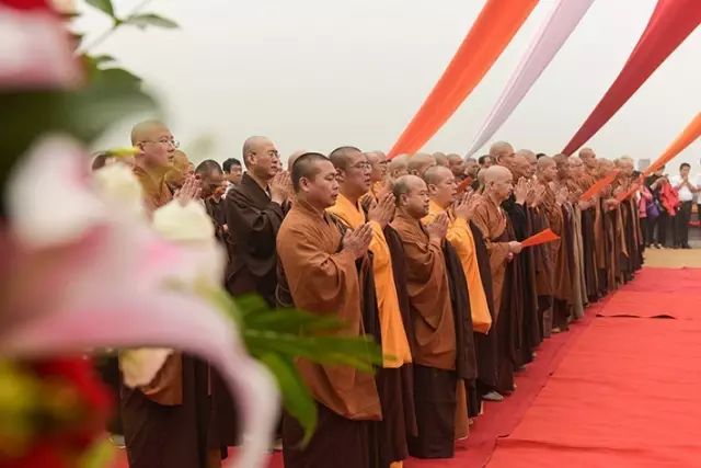 1475029772703913.jpg 5.jpg