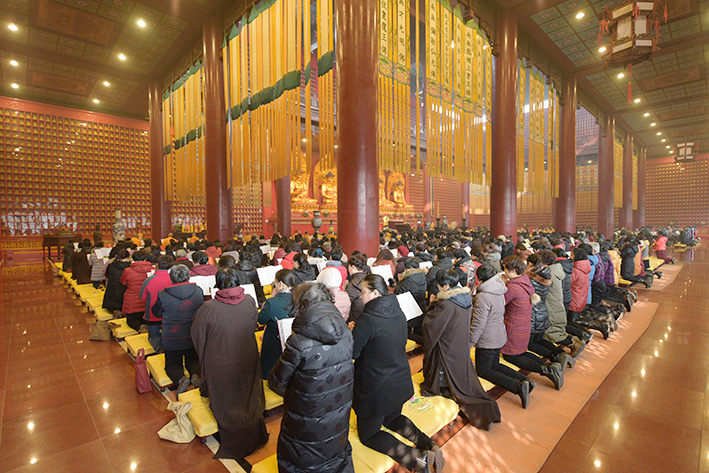 1486793021294810.jpg DSC_1465.JPG