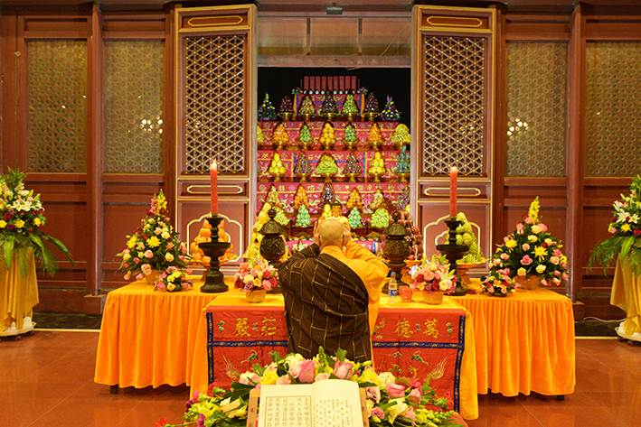 1486793050633169.jpg DSC_1778.JPG