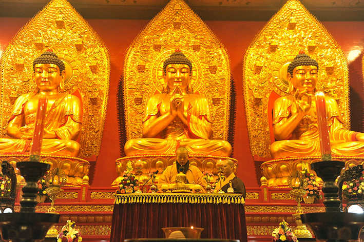 1488254509323685.jpg _DSC7654.JPG