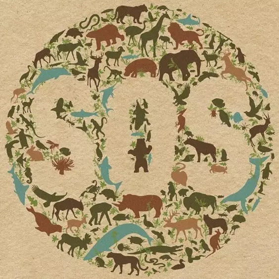 1488852412366200.jpg 640.webp.jpg