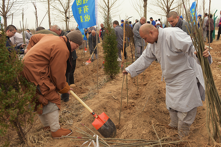 1490061890593408.jpg DSC_4164.JPG