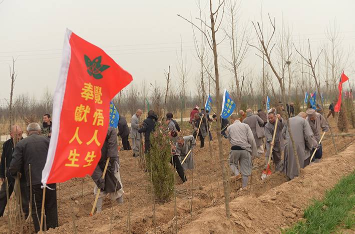 1490061900739458.jpg DSC_4247.JPG