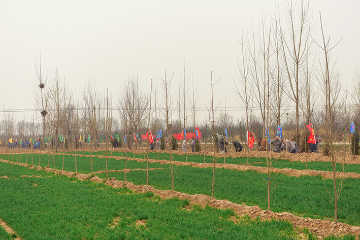 1490061917986933.jpg DSC_4309.JPG