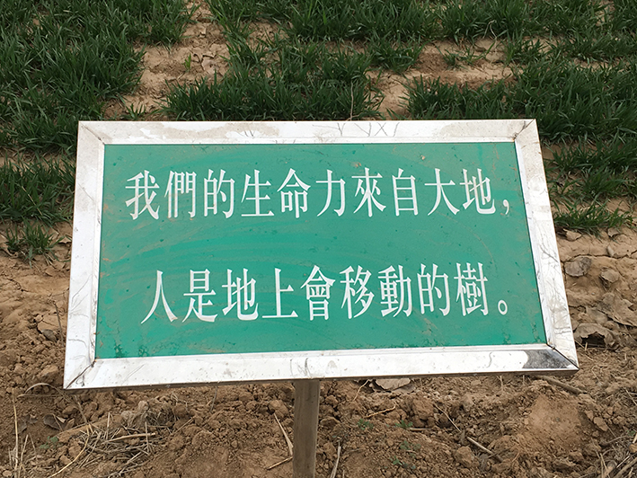 1490062031101486.jpg IMG_8439.JPG