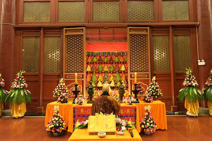 1491130454280782.jpg DSC_7869.JPG