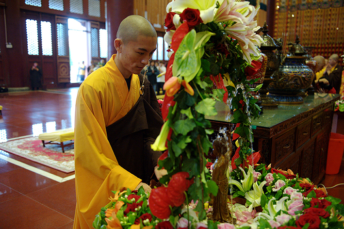 1526976109851340.jpg _DSC2440.jpg