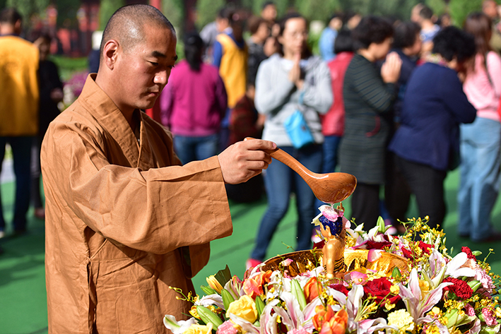 1526976175888778.jpg DSC_2450.jpg