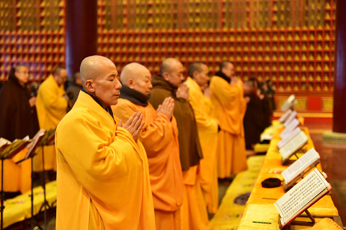 1550570449121164.jpg DSC_0938_调整大小.JPG