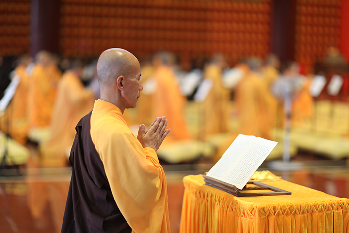 1565921700400066.jpg 084A3216.JPG