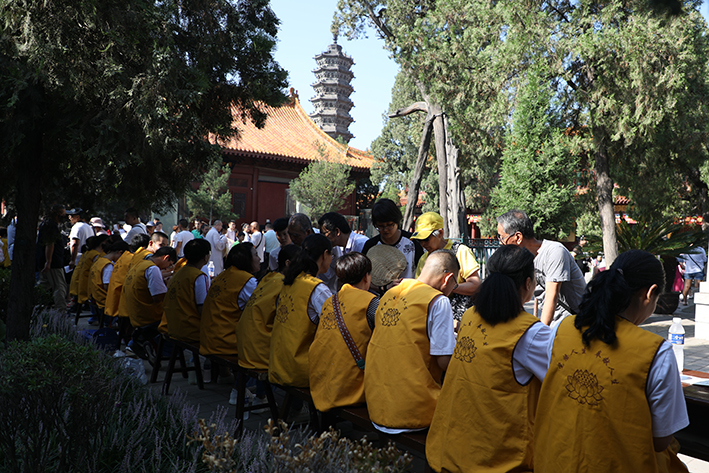 1565921843673490.jpg 084A3578【1】.jpg