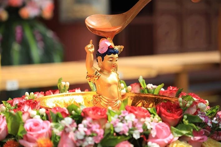 1621407991681193.jpg 0.jpg