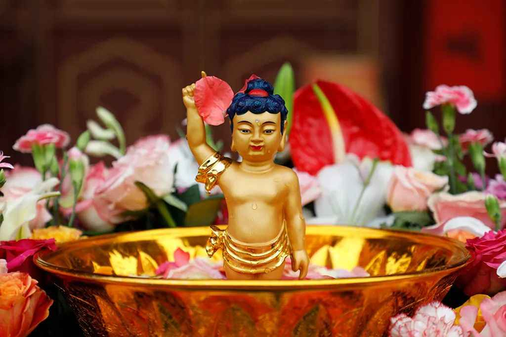 cn_mmbiz_jpg_bCI9Vr8rzrIl8bHicjPCQqUlTNPd6ibDwIGyu2ptuMwm8krvXQE8ocdWfa1Wl2pRmbEzQLJgFrZjEiaic4vCYXsamg_ (2) (2).png